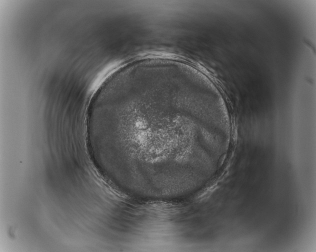 X0000102790199200809151132