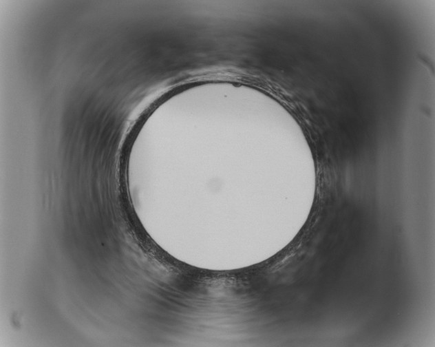 X0000102790200200809151132