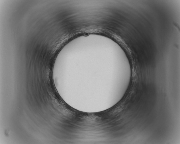 X0000102790201200809151132