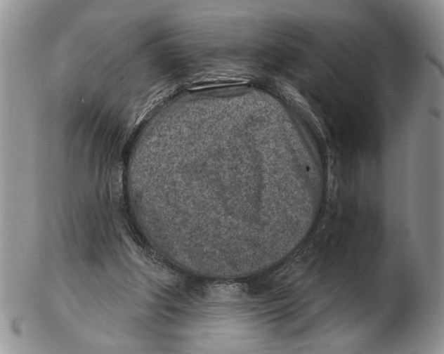 X0000102790202200809151132