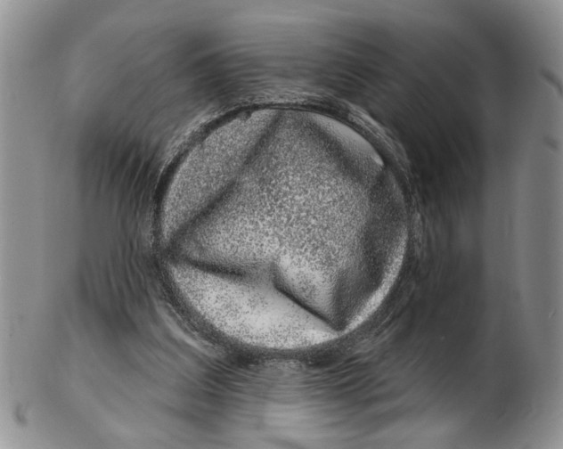 X0000102790203200809151132