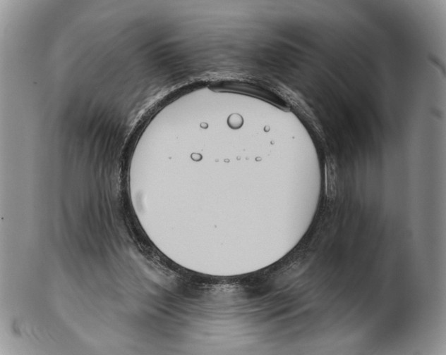 X0000102790204200809151132