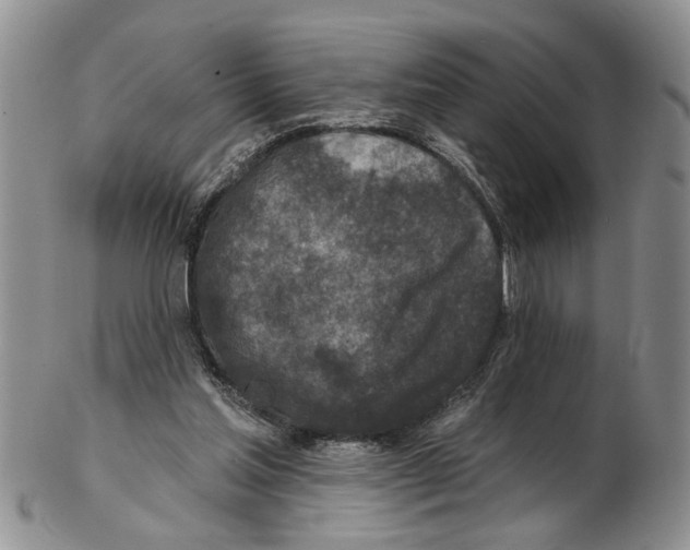 X0000102790205200809151132