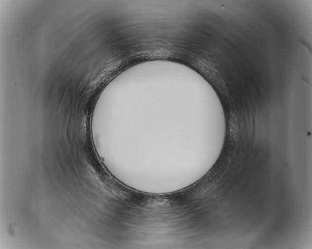 X0000102790206200809151132