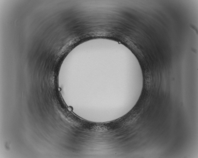 X0000102790207200809151132