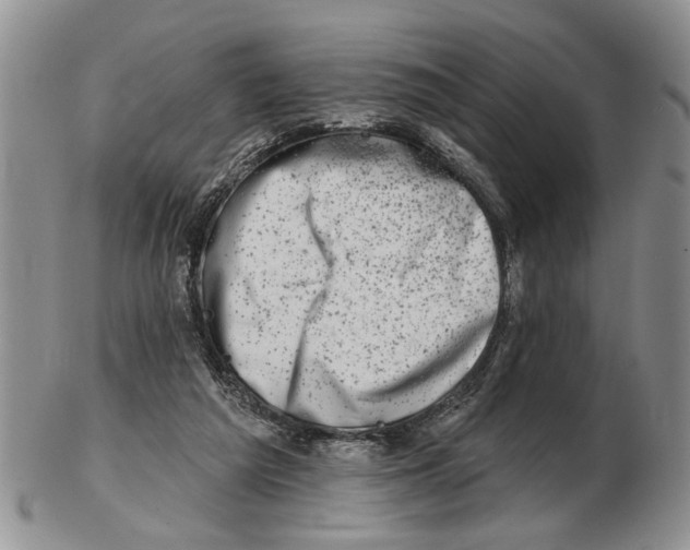 X0000102790209200809151132