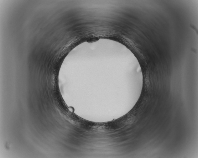 X0000102790211200809151132