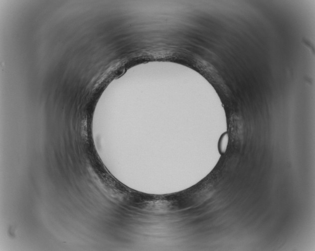 X0000102790212200809151132