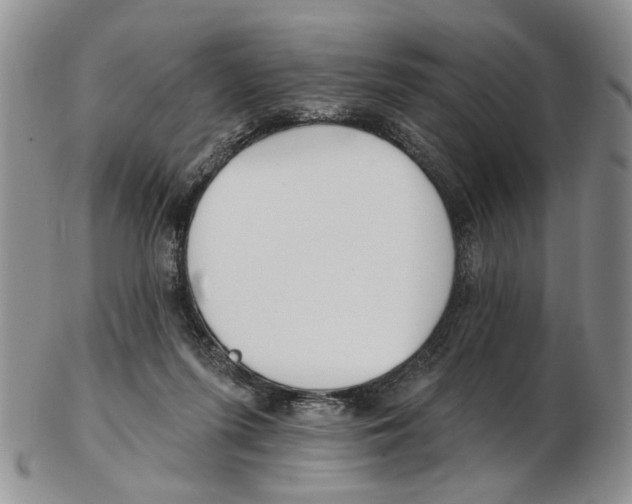 X0000102790215200809151132