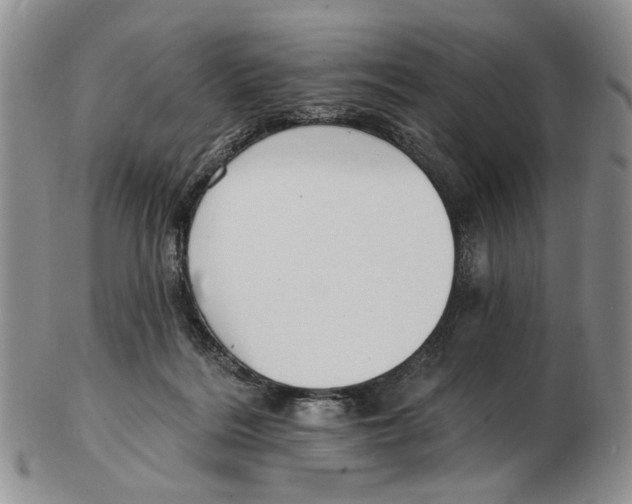 X0000102790220200809151132