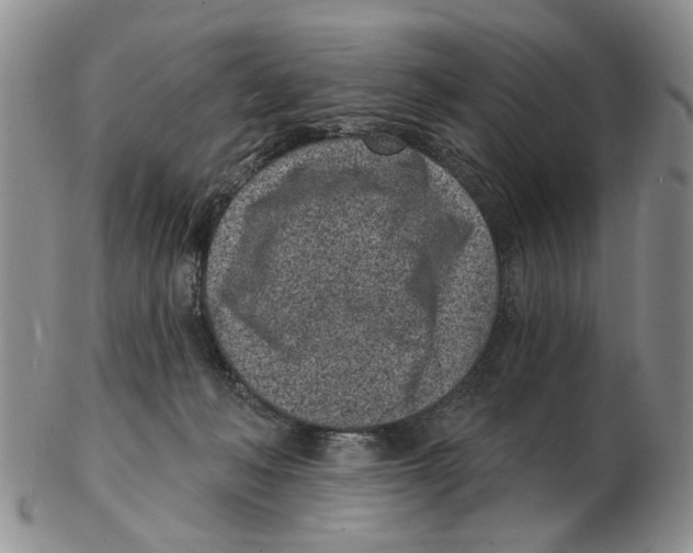 X0000102790222200809151132