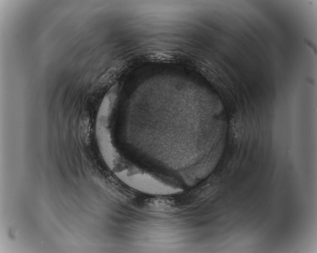 X0000102790223200809151132