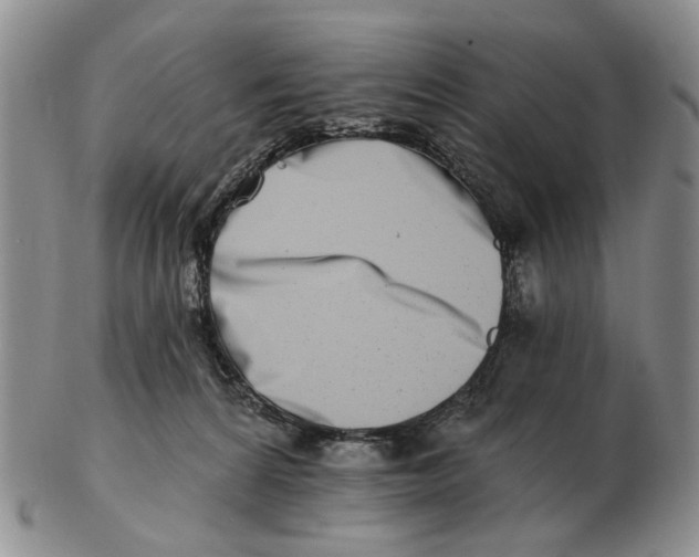 X0000102790224200809151132