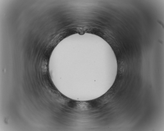 X0000102790226200809151132