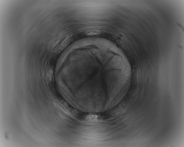 X0000102790227200809151132