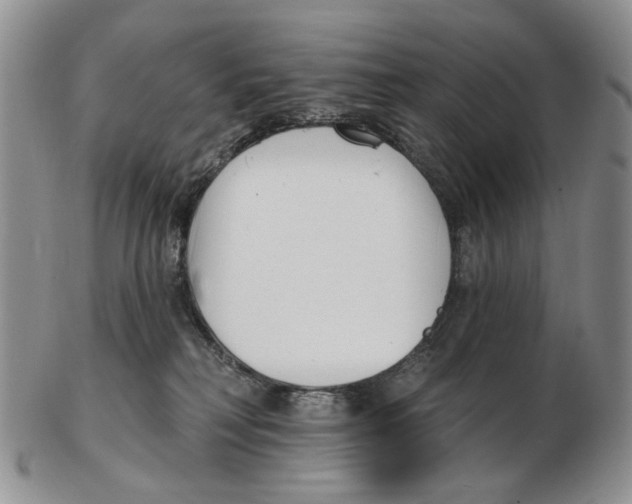 X0000102790230200809151132