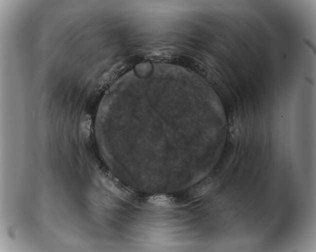 X0000102790231200809151132