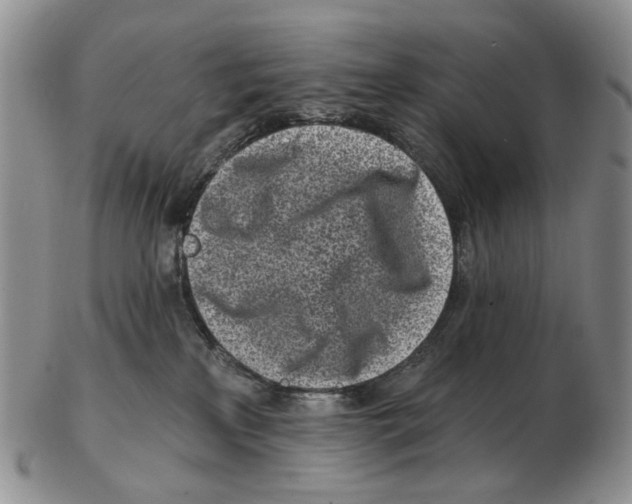 X0000102790233200809151132