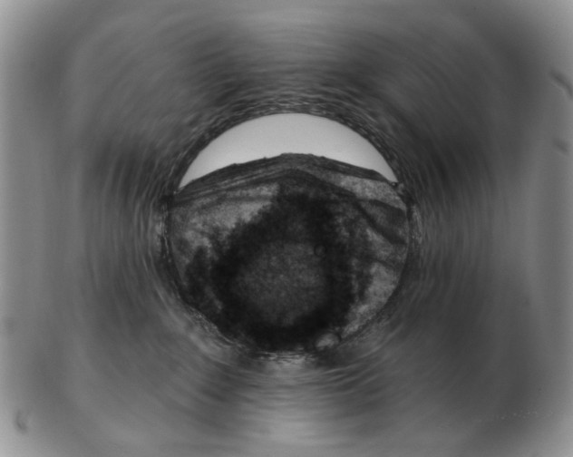 X0000102790235200809151132