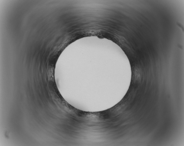 X0000102790236200809151132