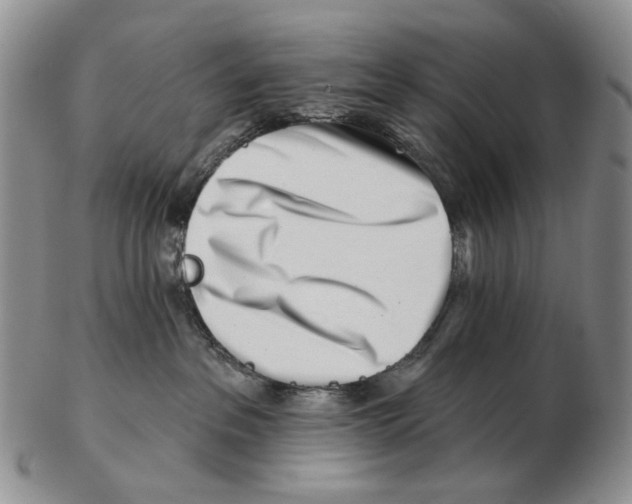 X0000102790237200809151132