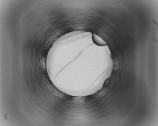 X0000102790238200809151132