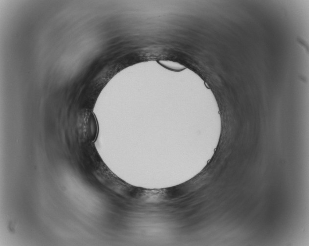 X0000102790240200809151132