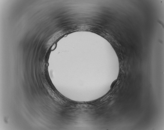 X0000102790242200809151131