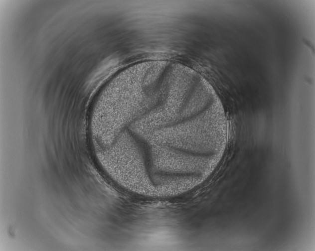 X0000102790243200809151131