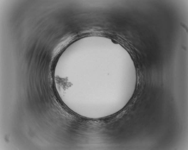 X0000102790245200809151131