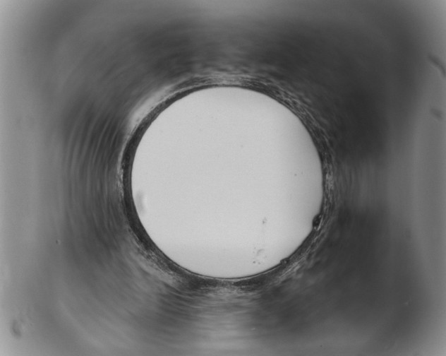 X0000102790246200809151131