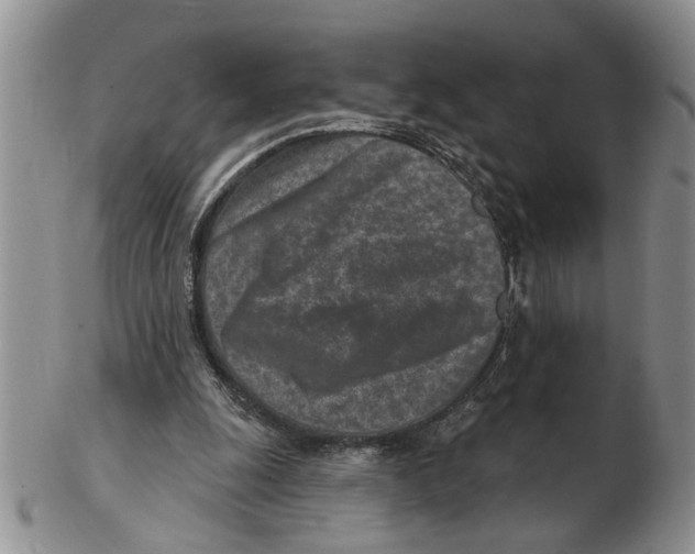 X0000102790247200809151131