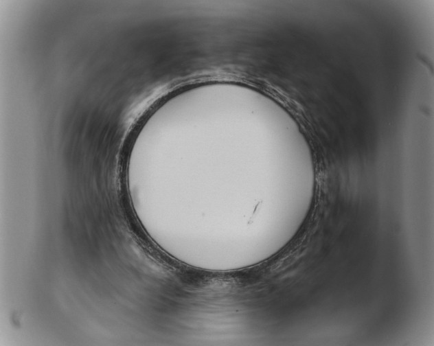 X0000102790248200809151131