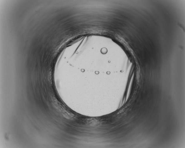 X0000102790249200809151131