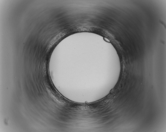 X0000102790250200809151131