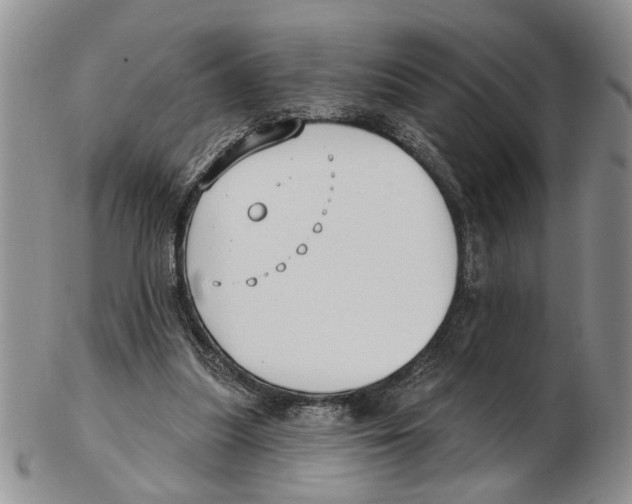 X0000102790251200809151131