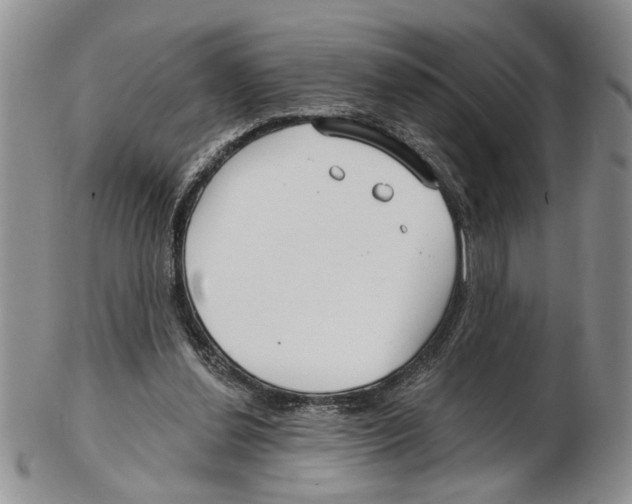 X0000102790252200809151131