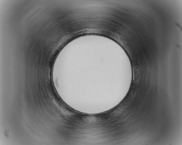 X0000102790253200809151131