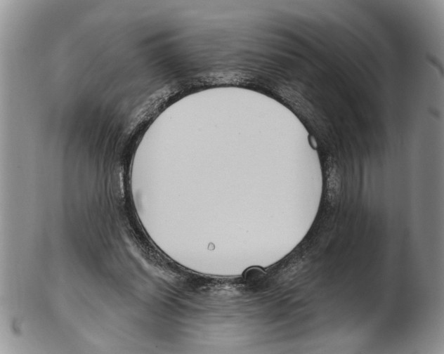 X0000102790254200809151131