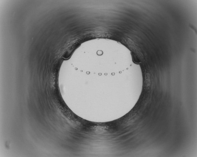 X0000102790255200809151131