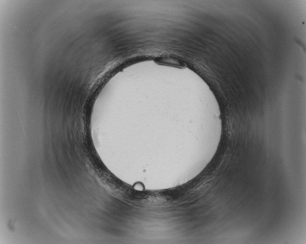 X0000102790256200809151131