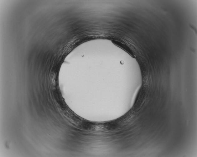 X0000102790264200809151131