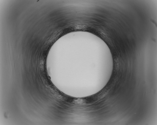 X0000102790269200809151131