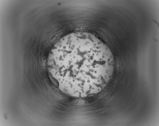 X0000102790276200809151132