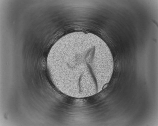 X0000102790277200809151132