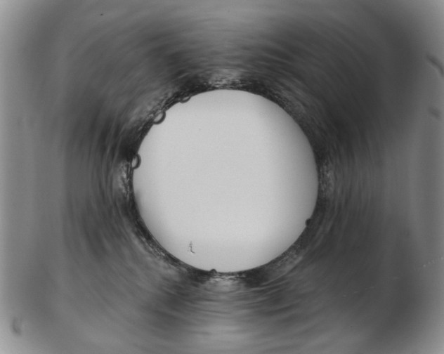 X0000102790280200809151132