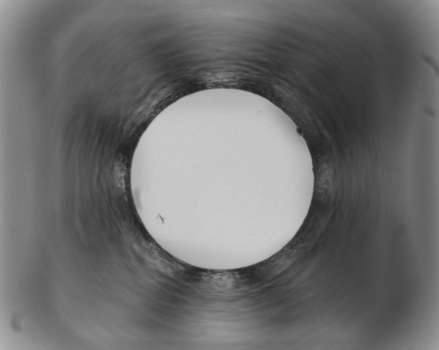 X0000102790282200809151132