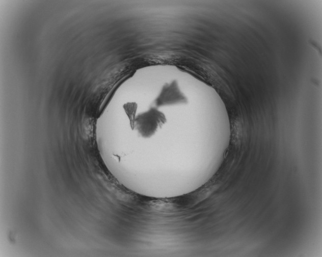 X0000102790284200809151132