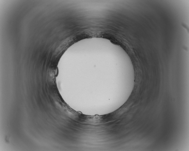 X0000102790288200809151132