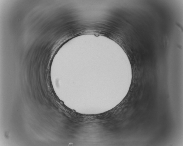 X0000102790289200809151131